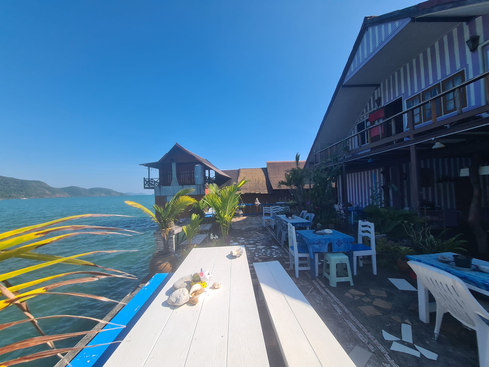 e04e701d-18c1-4cd7-a3ae-998c0ce5a78d