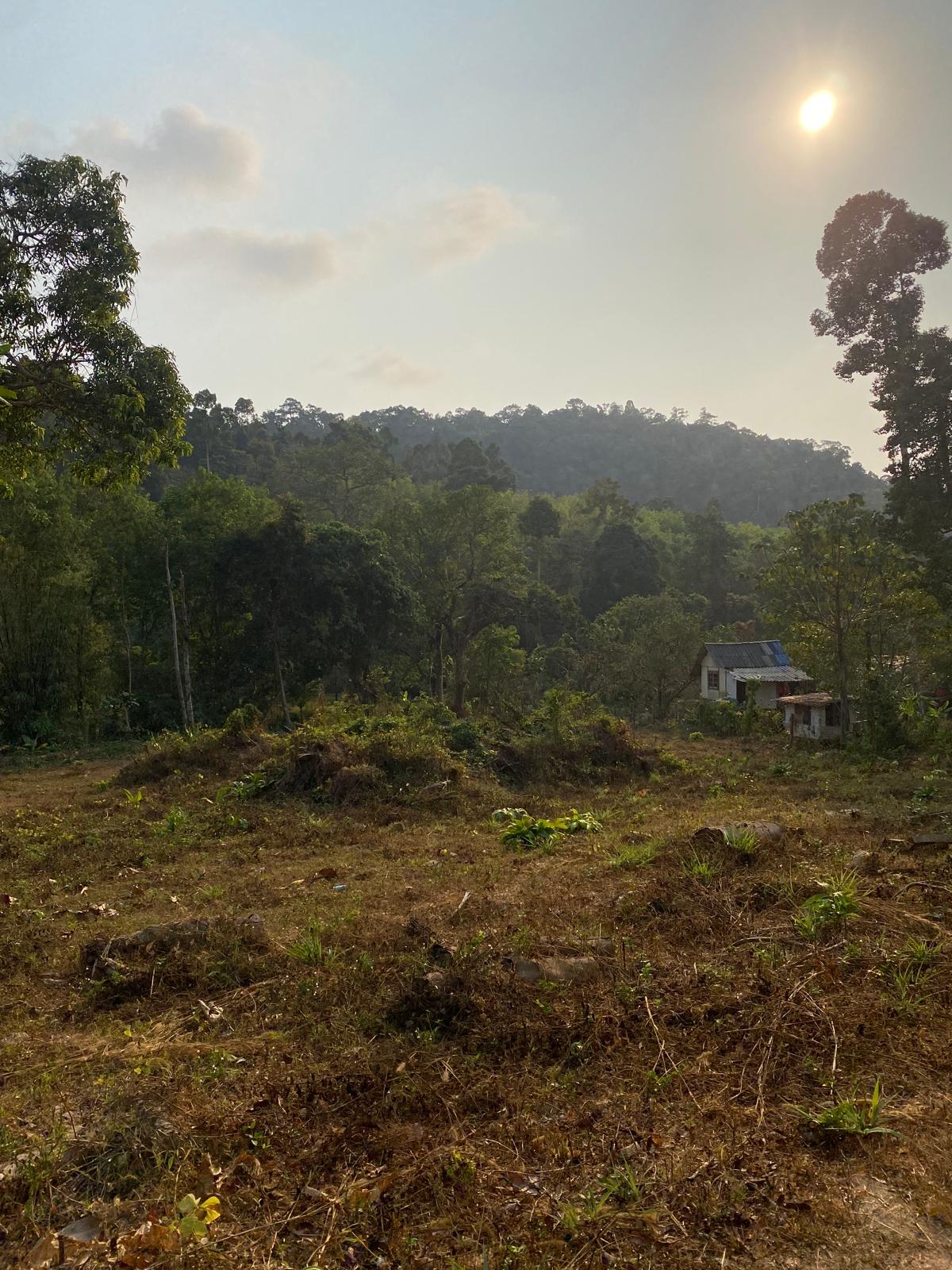 Prime land for sale in Kai Bae, Koh Chang – 2,016 sqm with stunning mountain views, ideal for a resort, bungalows, or private villas, walking distance to the beach and market.