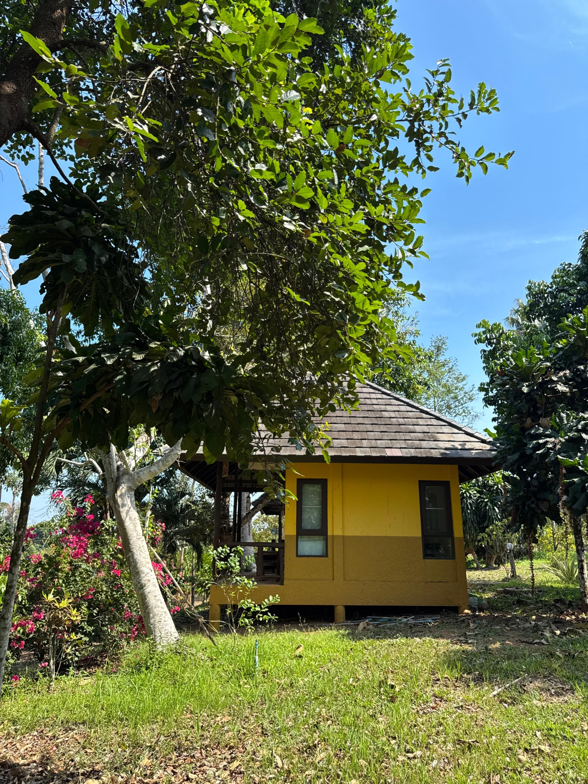 Scenic investment resort for rent in Koh Chang, Thailand – beachfront opportunity with bungalows, restaurant, and pool.