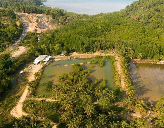 9-Rai Land for Sale in Koh Chang by Koh Chang Properties – Full Chanote title, canal access, mountain views, ideal for resort or hotel development.
